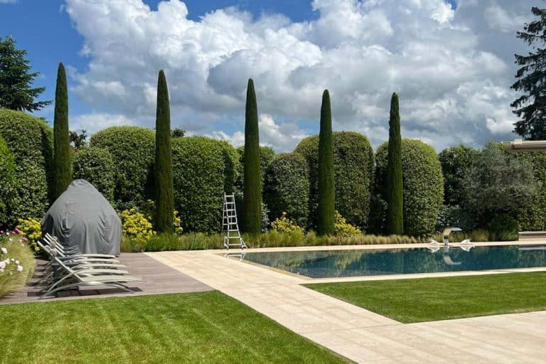 Aménagement d’espace vert sur mesure avec piscine et haies taillées à Genève