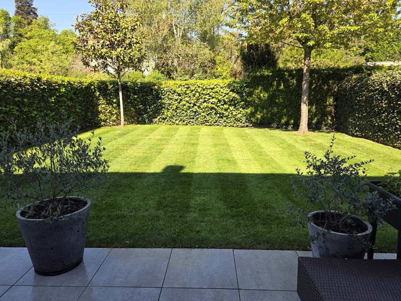 Jardin avec haies taillées et pelouse entretenue par un paysagiste à Genève