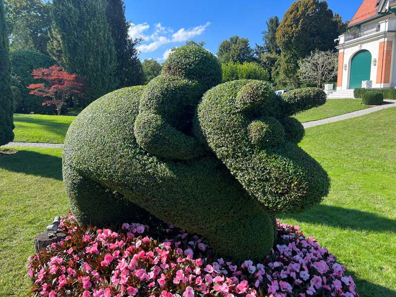 Sculpture végétale topiaire dans un jardin aménagé par un paysagiste à Genève