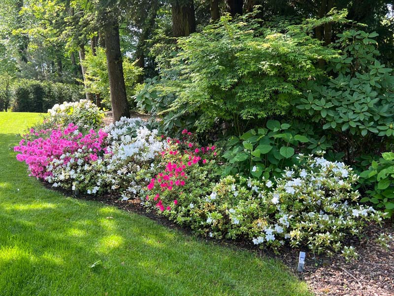 Aménagement de jardin résidentiel avec massifs fleuris réalisé à Genève